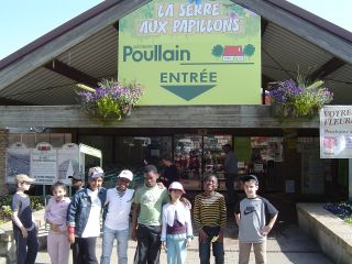 papillons