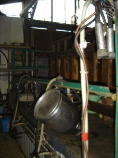 lait