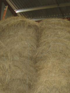 foin