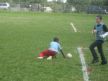 rugby